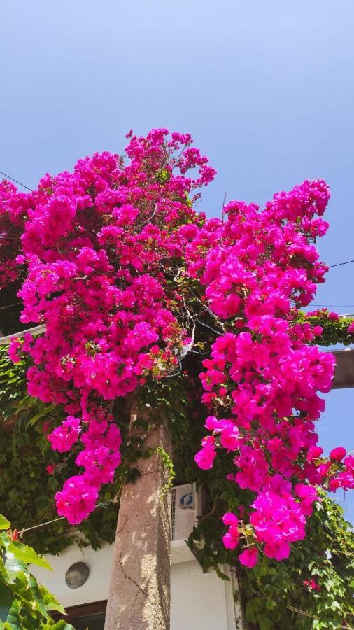 Spitaki Guest House เมกาลีอัมโมส ภายนอก รูปภาพ
